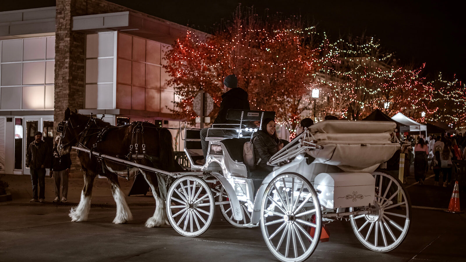 Horse-Drawn Carriage Rides