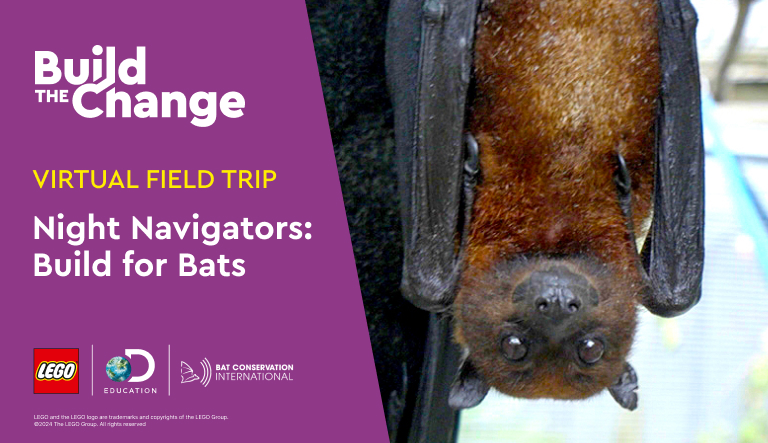 Night Navigators: Build for Bats Virtual Field Trip