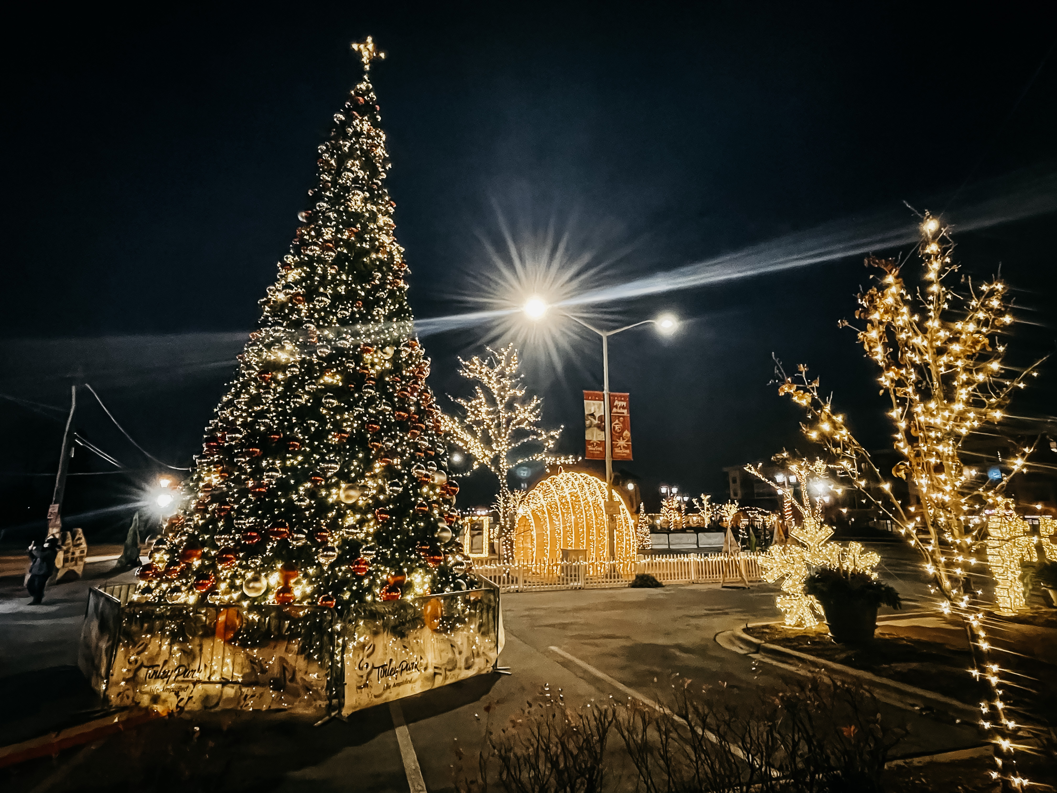 Tinley Park Community Tree-Lighting Ceremony