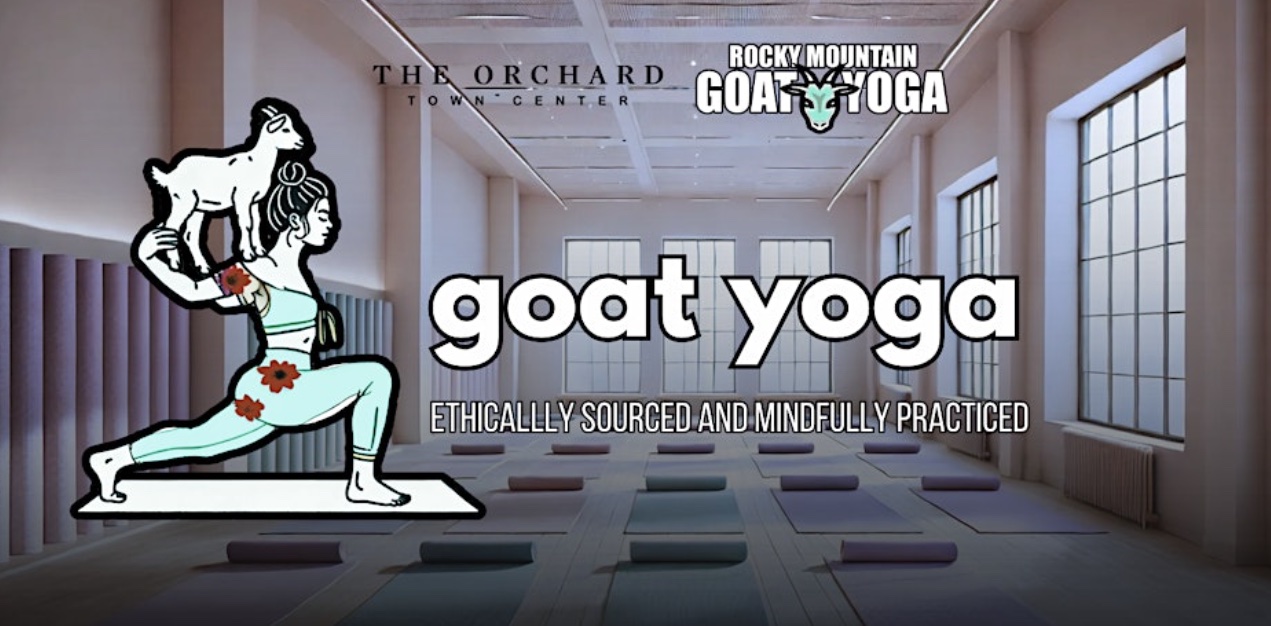 Baby Goat Yoga